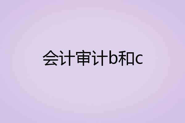 会计审计b和c