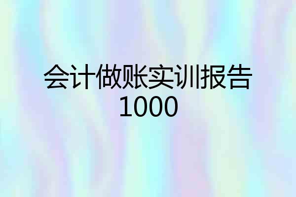 会计做账实训报告1000