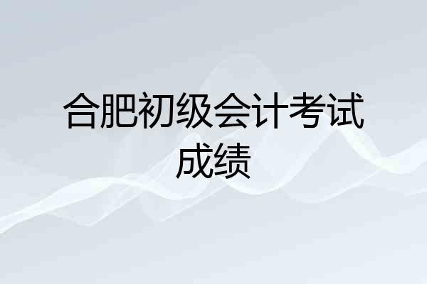 合肥初级会计考试成绩