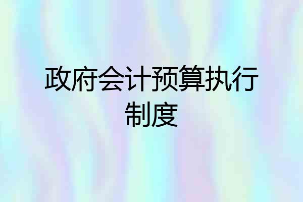 政府会计预算执行制度