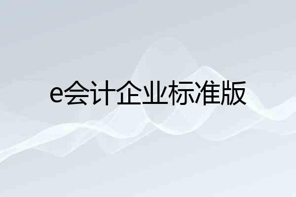 e会计企业标准版