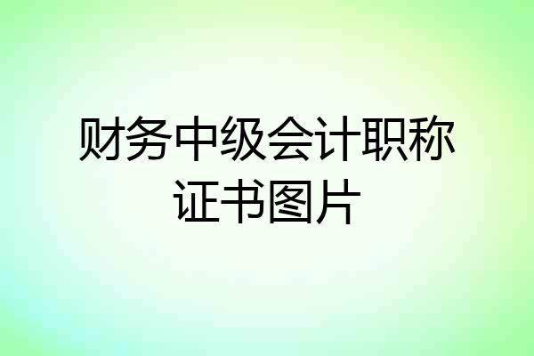 财务中级会计职称证书图片