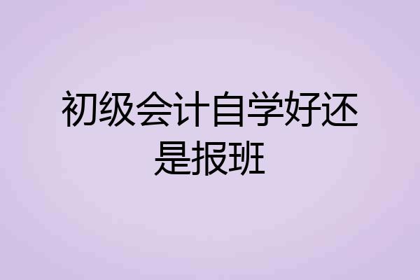 初级会计自学好还是报班
