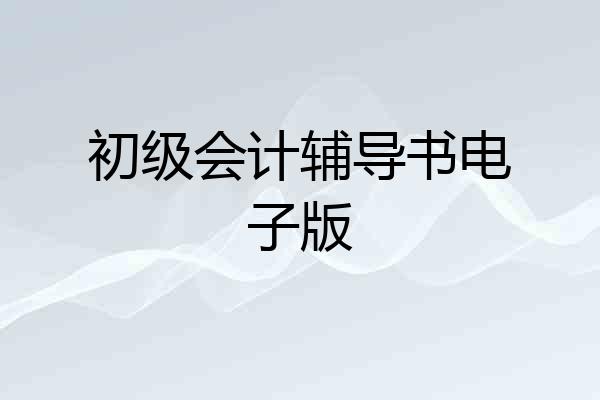 初级会计辅导书电子版