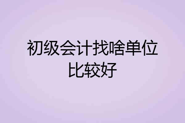 初级会计找啥单位比较好