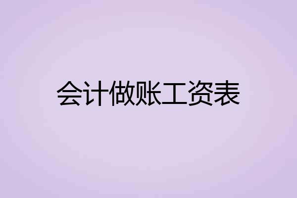 会计做账工资表
