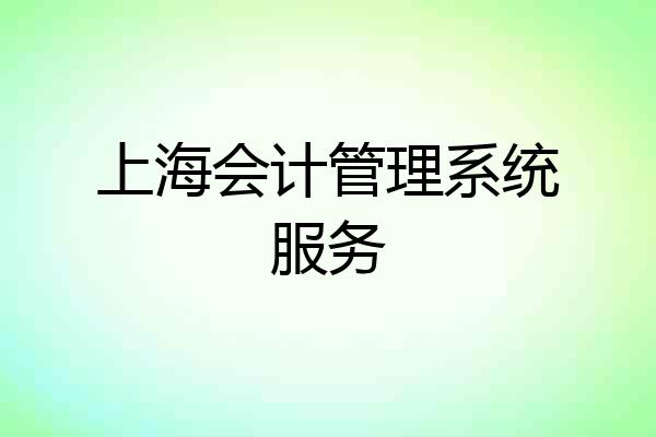 上海会计管理系统服务