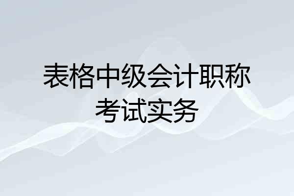 表格中级会计职称考试实务