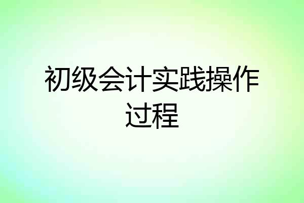 初级会计实践操作过程