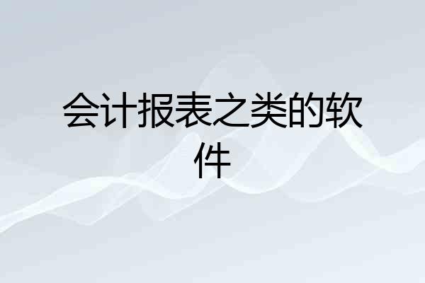 会计报表之类的软件