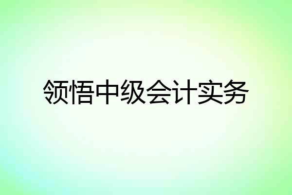 领悟中级会计实务