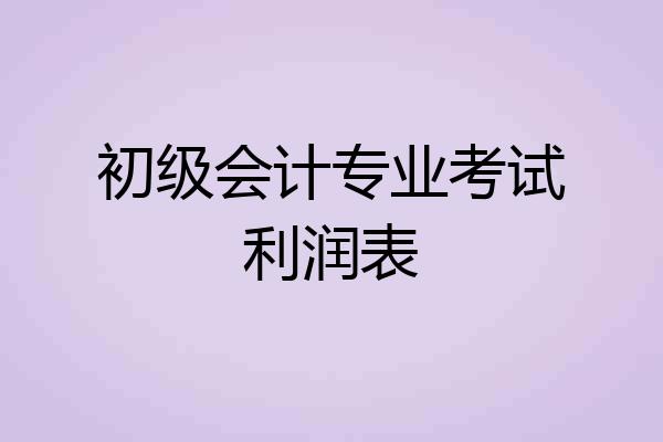 初级会计专业考试利润表