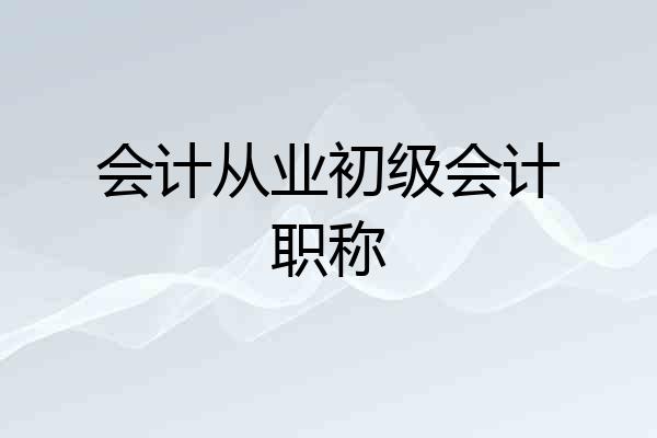 会计从业初级会计职称