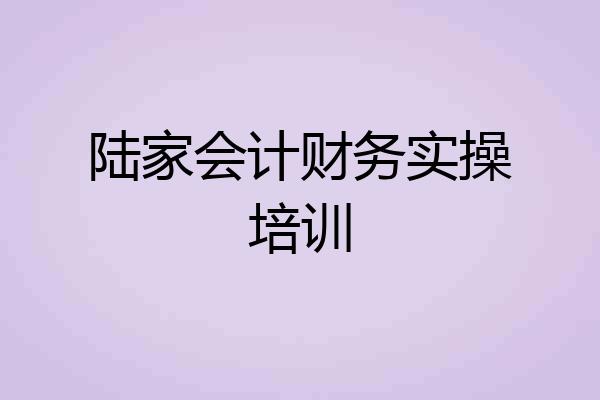 陆家会计财务实操培训