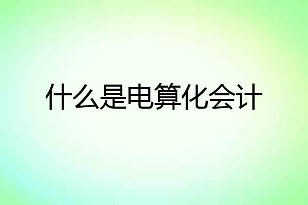 什么是电算化会计