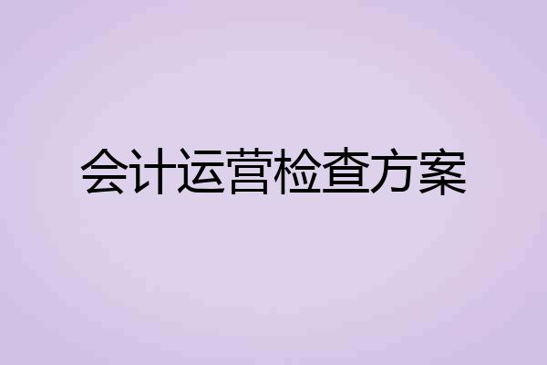 会计运营检查方案