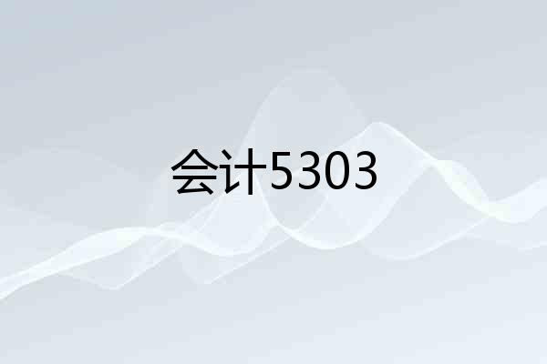 会计5303