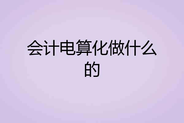 会计电算化做什么的