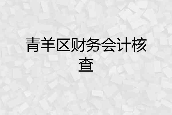 青羊区财务会计核查