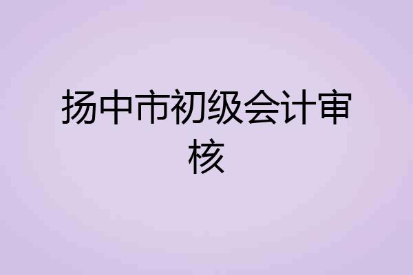 扬中市初级会计审核