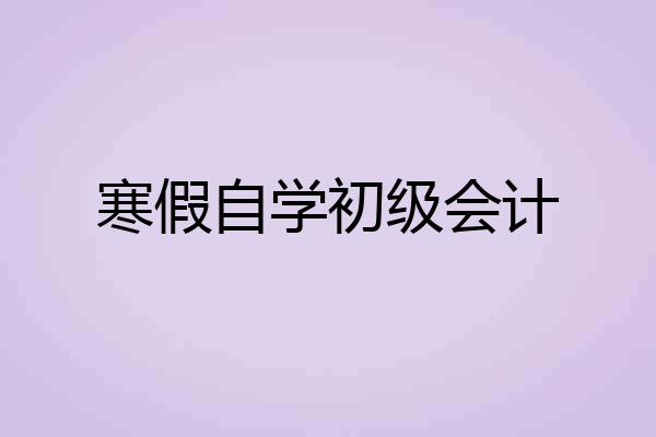 寒假自学初级会计