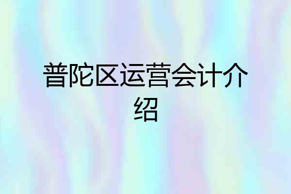 普陀区运营会计介绍