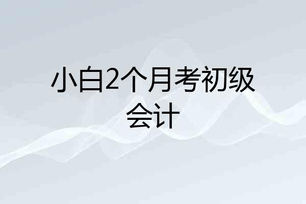 小白2个月考初级会计
