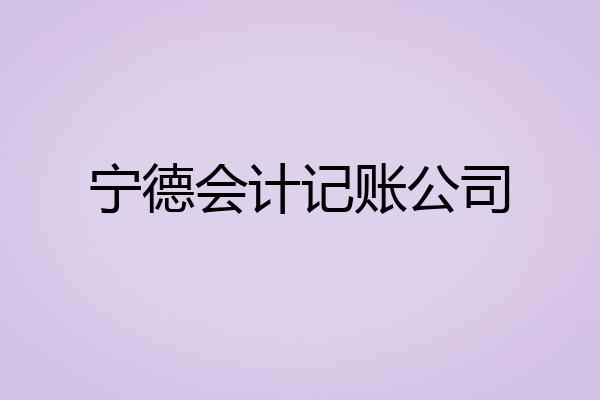 宁德会计记账公司