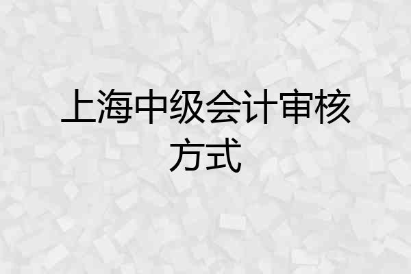 上海中级会计审核方式