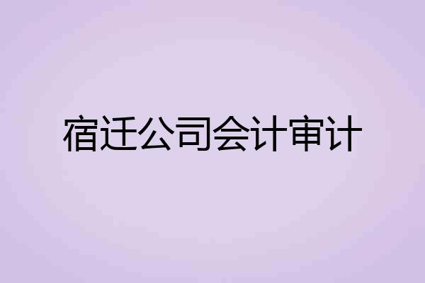 宿迁公司会计审计