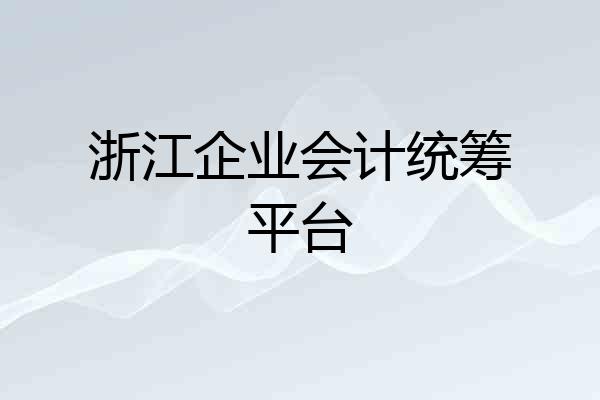 浙江企业会计统筹平台