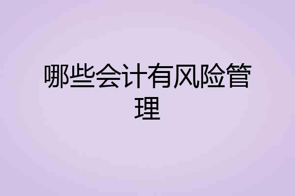 哪些会计有风险管理