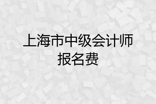 上海市中级会计师报名费