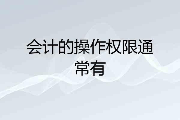 会计的操作权限通常有