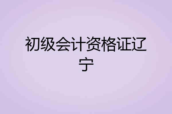初级会计资格证辽宁