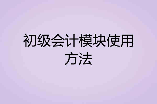 初级会计模块使用方法