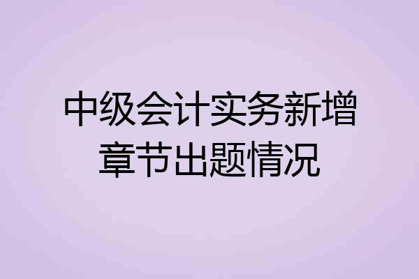 中级会计实务新增章节出题情况