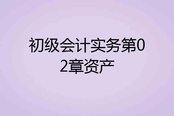 初级会计实务第02章资产