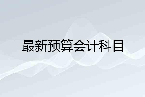 最新预算会计科目