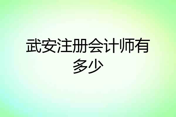 武安注册会计师有多少