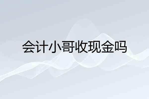 会计小哥收现金吗