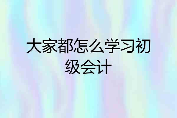 大家都怎么学习初级会计