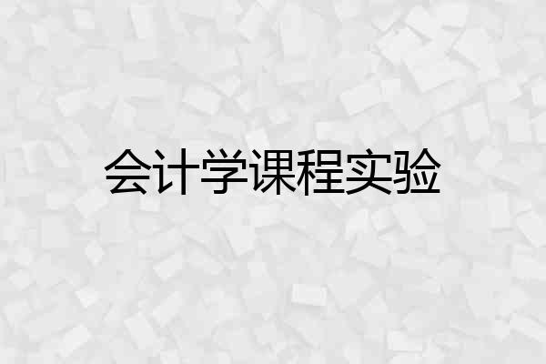 会计学课程实验