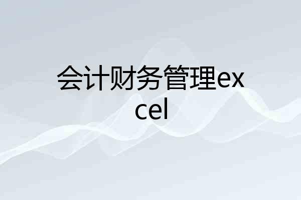 会计财务管理excel