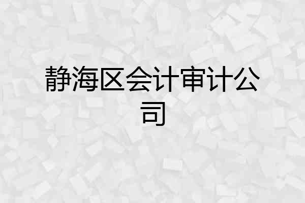 静海区会计审计公司