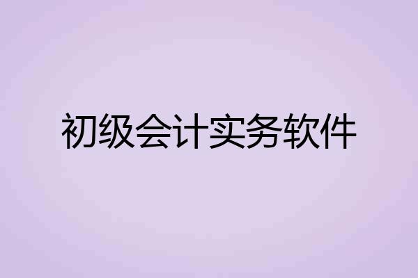 初级会计实务软件