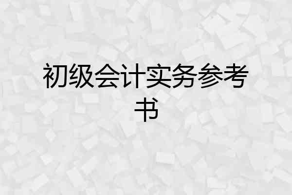 初级会计实务参考书