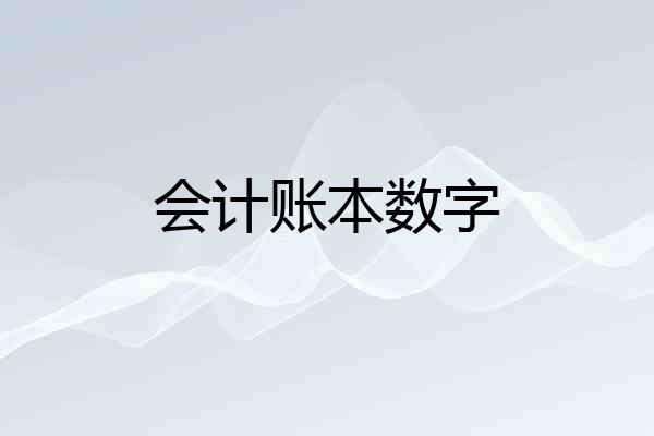 会计账本数字