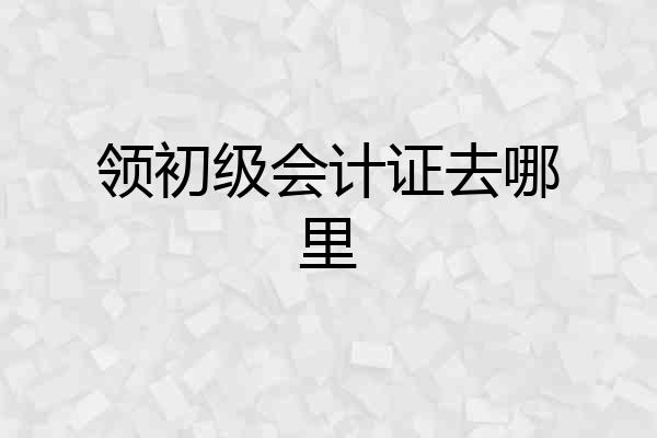 领初级会计证去哪里