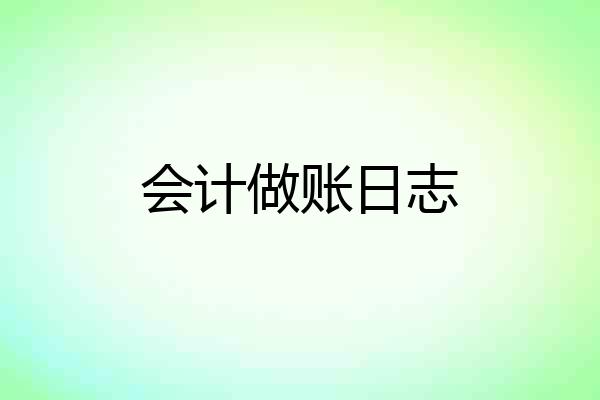 会计做账日志
